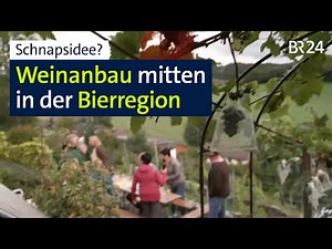 Winzer mitten unter Bierbrauern und -trinkern: Kann das gutgehen? | Abendschau | BR24