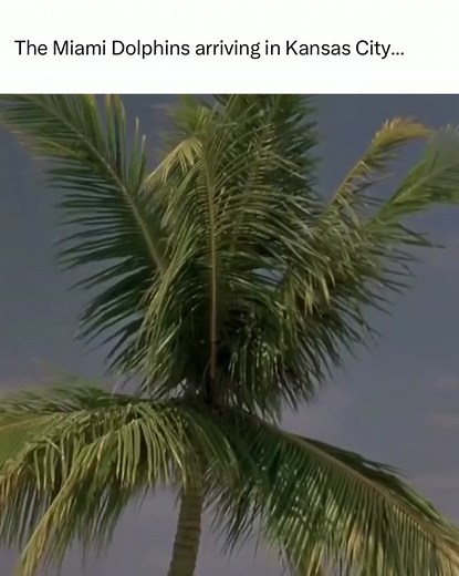 NFL Football Game in Freezing Winter Weather: Kansas City Chiefs vs. Miami Dolphins