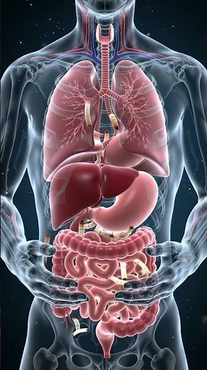 Inside the Human Body: Stunning 3D Anatomy with Realistic Parasite Motion