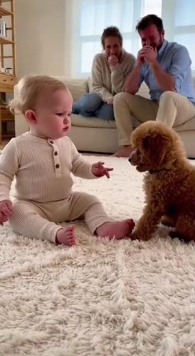 😂 Baby & Puppy “Talking” Showdown! Funniest Cute Battle You’ll Ever See 🐶👶🔥 #funny #baby #puppy