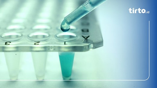 Contoh Soal Bioteknologi, Pembahasan, dan Kunci Jawaban