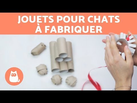 DIY Cat Toys