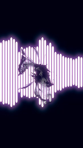 1.3K views | // D E F Y // | Left/Right | Facebook