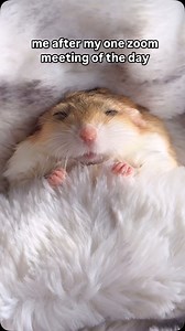 19K views · 95 reactions | I can handle one task a day | Ingrid Michaelson | Facebook