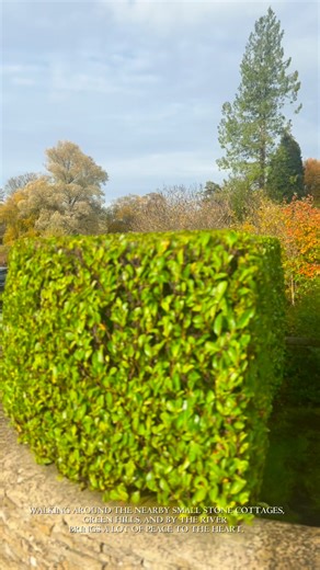 Welcome to Bibury, the most beautiful village in England — and maybe the world! 🇬🇧✨ Just one minute here feels like stepping into a real-life painting.Walk through the legendary Arlington Row, cross the dreamy wooden bridge, and feel the calm vibes by the River Coln. 💧From the charming Bibury Trout Farm to the green hills and stone cottages, this tiny village in the Cotswolds will steal your heart. ❤️🎞️ Highlights:🏡 14th-century cottages of Arlington Row🌉 Wooden bridge with river reflectio