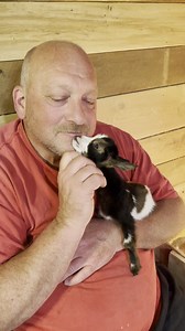 22K views · 2.8K reactions | Baby goat kisses | Beekman 1802 Boys | Facebook