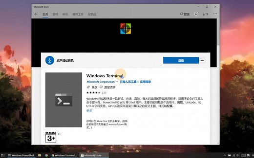 WindowsTerminal 终端安装美化