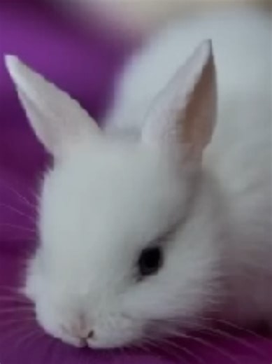 Addressing Controversies in Eddsworld Discord Server