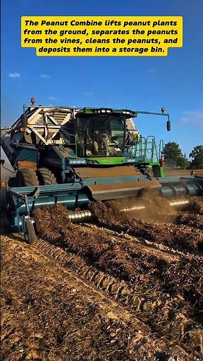 Peanut Combine in Action: Harvesting Peanuts Made Easy!