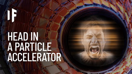 What Happens If You Put Your Head Into a Particle Accelerator?