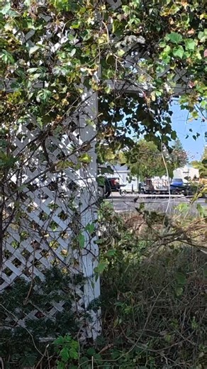 929K views · 45K reactions | No One knows what's happened, we had to help | Outdoors with Erik | Facebook