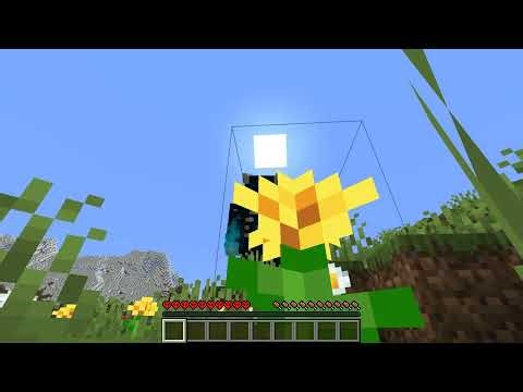 Minecraft size mod