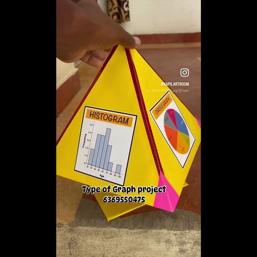 Type of Graphs working model for maths expo #schoolproject #diy #art #craft #3dmodel #handmade #pro