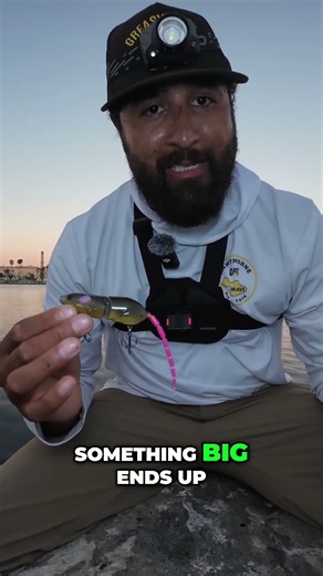 Rat Lure Secrets: Why Fish LOVE These Jetty Structures #shorts