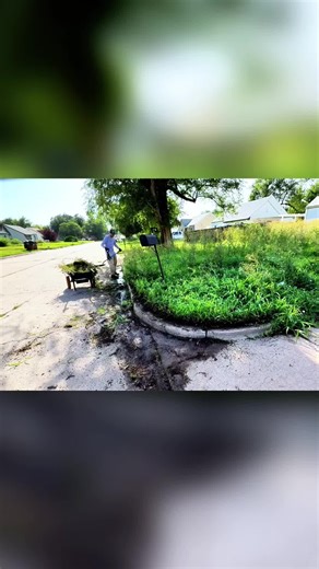 Local Cats Live Here… Let’s Clean It and See What Happens - part 1 | cats