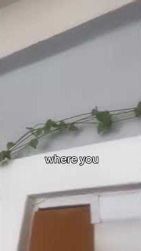 # Disciplines# Countinity # Success #✨🎉