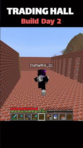 Day 2 of HUGE Villager Trading Hall! 🏠 #minecraft #shorts#minecrafthumor