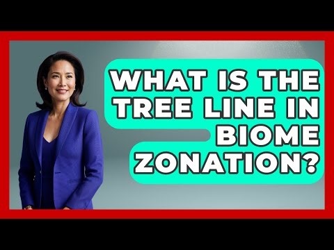 What Is The Tree Line In Biome Zonation? - The Geography Atlas