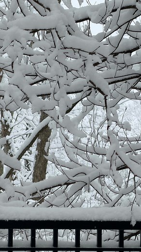 Joya Escondida 💎 on Instagram: "From the favorites 📲💙"