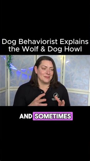 Why Dogs and Wolves Howl