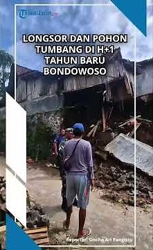 POHON TUMBANG DAN TANAH LONGSOR TERJANG DESA SUGER LOR Bondowoso Akibat Hujan Deras Seharian