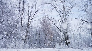 Winter Stock Footage: Royalty-Free Video Clips - Storyblocks