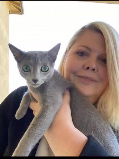 sugar momma on TikTok