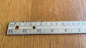 OUTSIDE THE CLASSROOM: Measuring flower (plant) growth