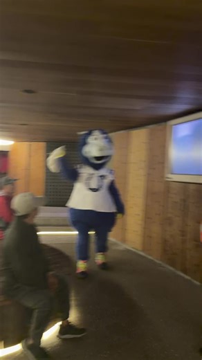 Learn About Penguins: Fun Penguin Videos for Kids