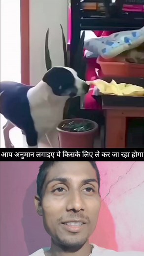 1.8M views · 10K reactions | कितना खुश हो गया  | संस्कारी SAHIL | Facebook