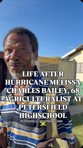 Sham Od on Instagram: "68 year old Charles Bailey is the Agriculturalist for Petersfield High School. He was responsible for the school supply of vegetables and chicken. He was in the chicken coop trying to protect them. In a sec in which he was using the bathroom, the whole coop collapsed. Most of the chickens died and still need to be buried. He takes care of some stray dogs that follow him everywhere he goes. They love him, he said 💔. He lost everything and is still on duty for the school. T