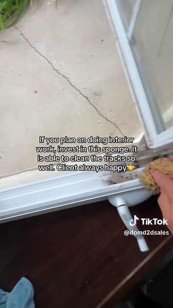 Essential Sponge for Effective Interior Window Cleaning