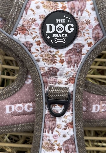 The Dog Shack on TikTok