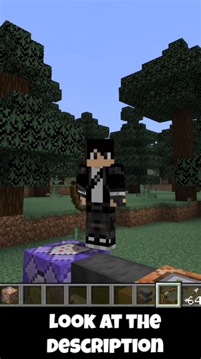 Amazing Minecraft JE 1.21 Commands №1 #minecraft #command #shorts