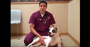 Vet shares two ways to perform the Heimlich maneuver — a must see for pet owners