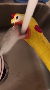 Why is this so funny 😂 **SOUND ON** | theCHIVE