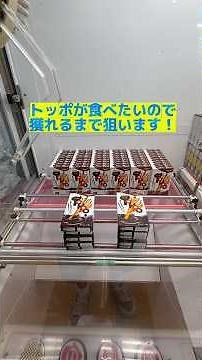 トッポが食べたいので獲れるまで狙います！#おすすめ#クレーンゲーム#クレゲ#ゲームセンター#ゲーセン#お菓子#shortvideo #shorts #short #トッポ#チョコ#おもしろ#食べたい
