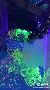 183K views · 2.5K reactions | We need Sharks in this PC Fish Tank!!! | Computer Engineers Ph | Facebook