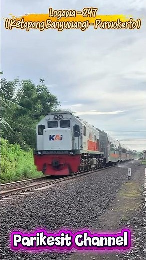 🛑 Kereta Api Ekspres Logawa melintas di desa payaman giri Banyuwangi
