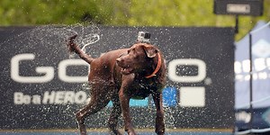 GoPro: We Want YOU to Join Our Developer Program | Fortune