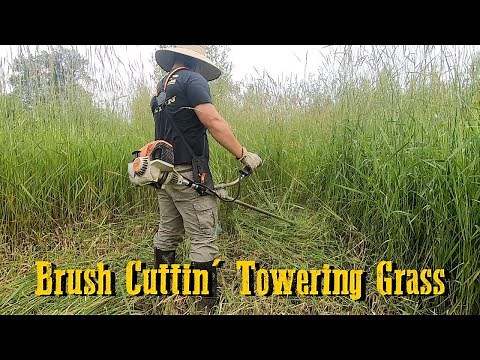 Cutting Grass With Oregon Magnum Gatorline Square Trimmer Line | Stihl FS #Stihl #Satisfying