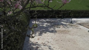President John F. Kennedy Gravesite in Arlington National Cemetery during springtime, Washington DC, United States of America, North America