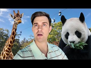 I Visited the Most Famous Zoo in America