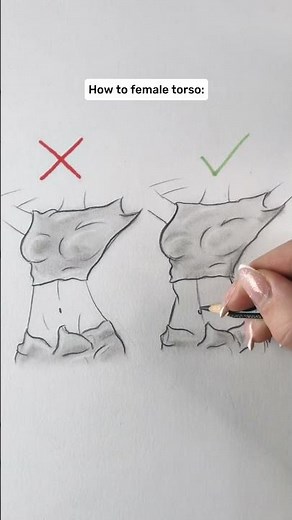 How to draw female torso #howtodraw #pencildrawing #drawingtutorial