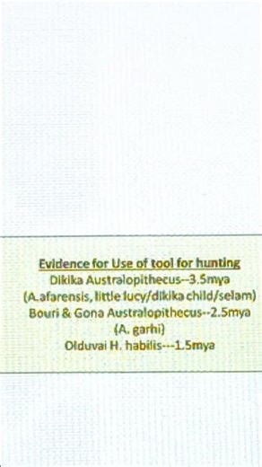 Evidence of tool making practices#australopithecus #handymantools #upsc #ugcnet #cuet