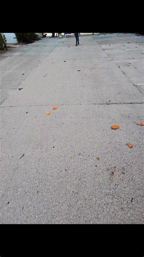 I just love living here #MetaRayBanSmartglasses | Nicole Garmany