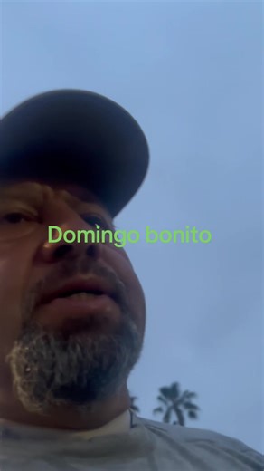 #domingo