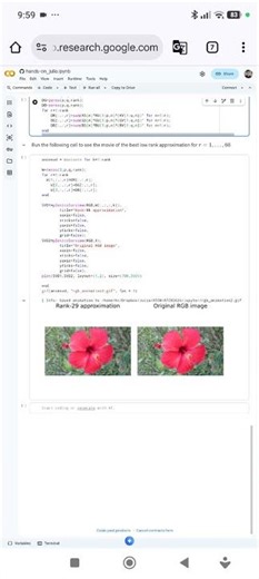 Julia Programming Language: Julia & Jupyter Notebook on Google Colab