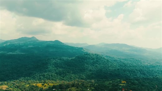 #ካፌቾ #birthplaceofcoffee #coffee#kaffa Keffa: The Fertile Birthplace of Coffee The Keffa Zone is a region of immense global significance, particularly as the undisputed genetic origin of Coffea arabica, the world's most popular coffee species. Located in Ethiopia’s mountainous southwest, Keffa is the site of the famous Kaldi coffee legend and holds the largest remaining wild coffee forests, which serve as a critical genetic reservoir. Its ecological value is recognized by the UNESCO Kafa Biosphe