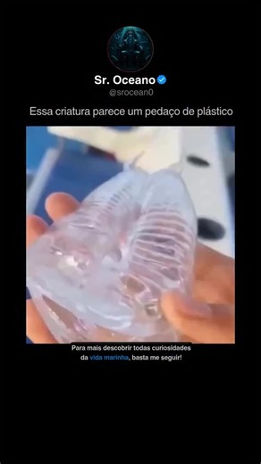 In the early 1960s, NASA was exploring the ocean… but then they suddenly stopped and shifted their focus to space and finding another home outside Earth. Why did they quit diving into the deep?\\nWhat did they find that scared them away?\\nEven now, less than 5% of the ocean has been explored. I’m here to show you the darkest, creepiest secrets hiding in the depths. Things so scary, they make space look safe.\\n\\n#ocean #OceanSecrets #DeepSeaMystery #explore #octopus